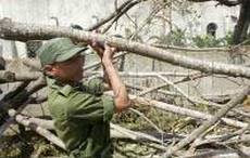 Cuba recovers with work of all of the destruction of the hurricanes